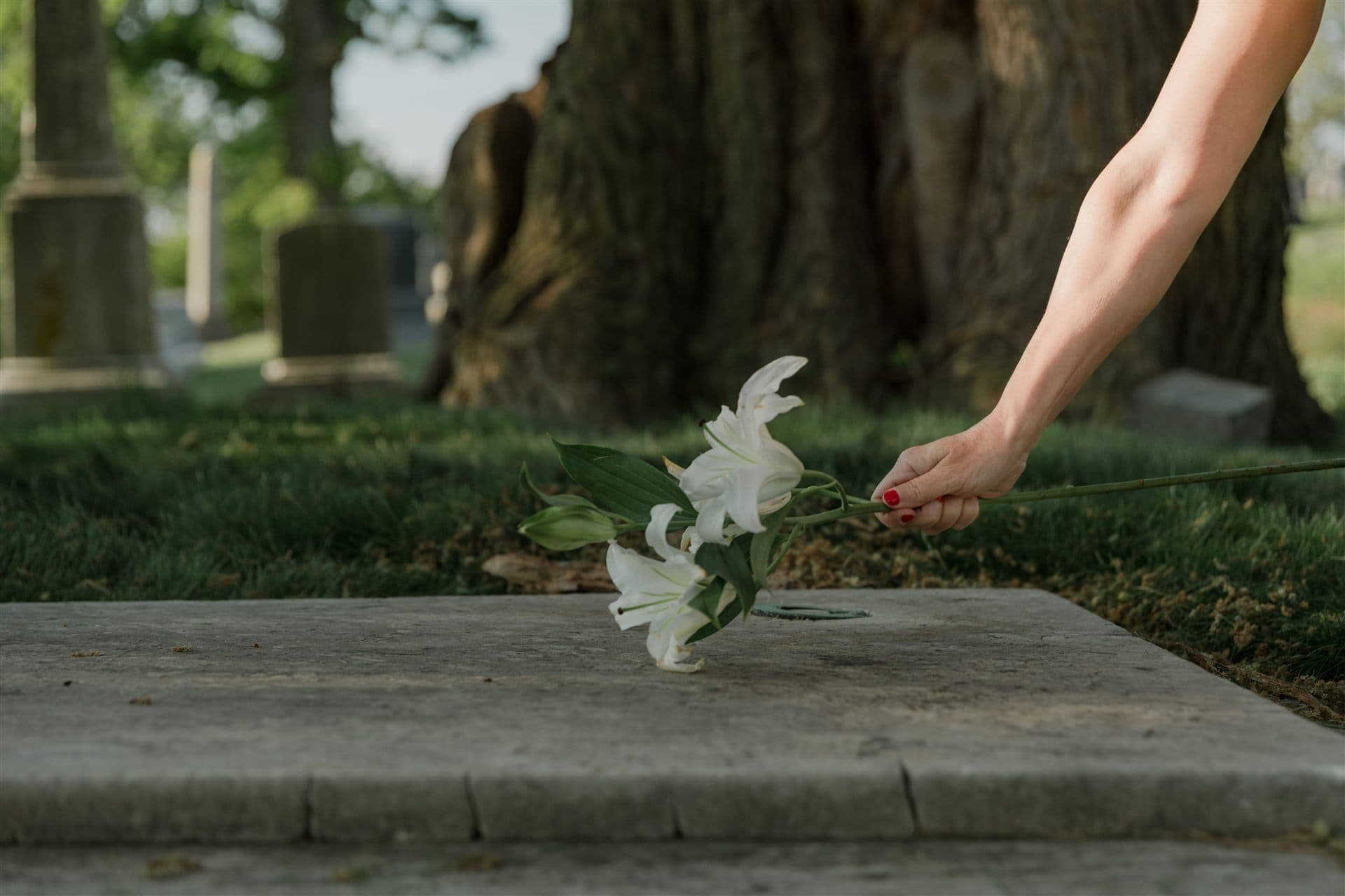 White condolence flowers for a respectful memorial arrangement for JCC Association of North America