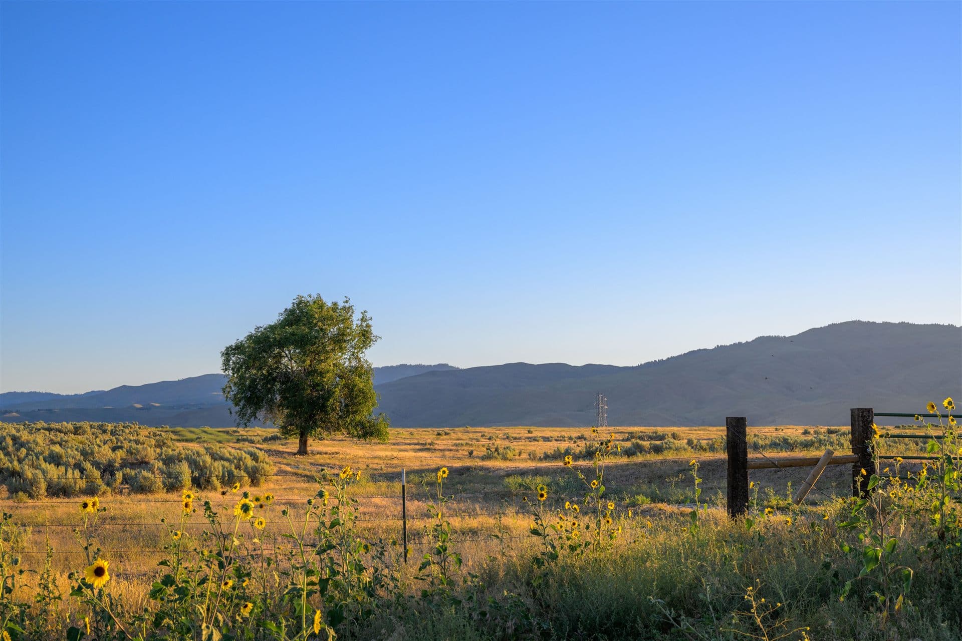 Idaho skyline or landscape for local Jewish obituary resources for Idaho