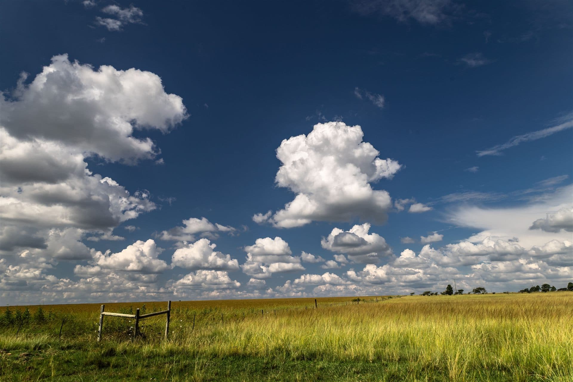 Kansas skyline or landscape for local Jewish obituary resources for Kansas