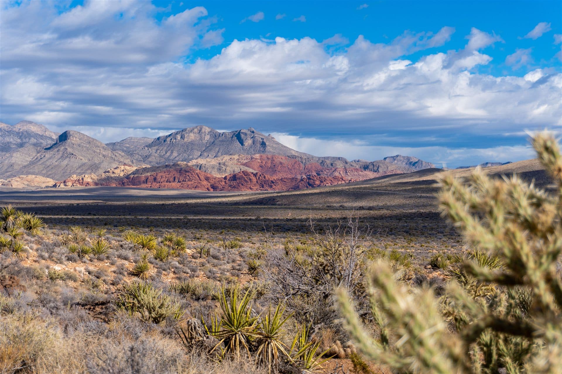 Nevada skyline or landscape for local Jewish obituary resources for Nevada