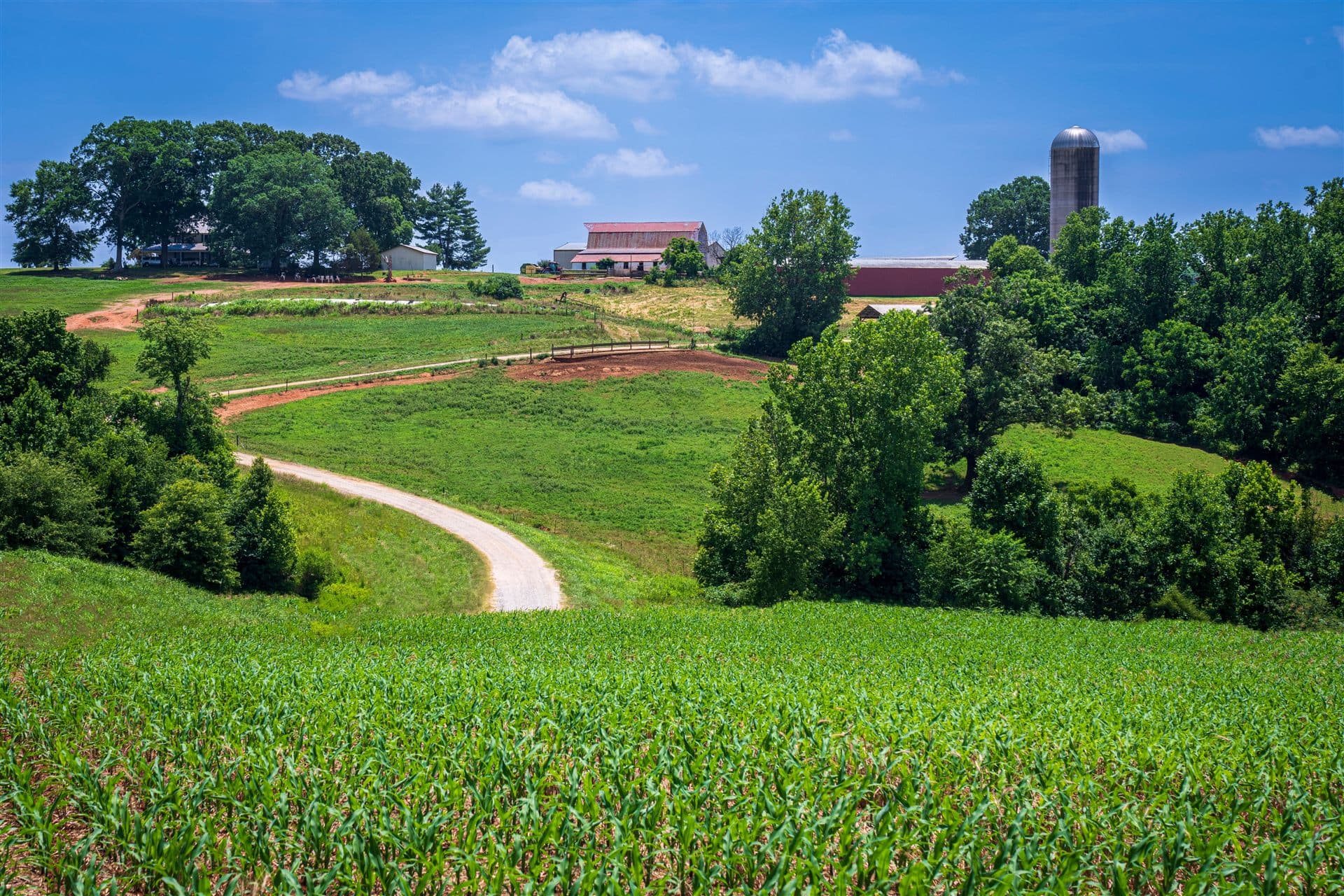 South Carolina skyline or landscape for local Jewish obituary resources for South Carolina