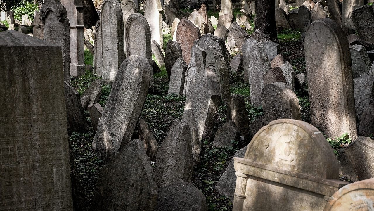 Historic Jewish cemetery headstones under trees for remembrance and memorial search